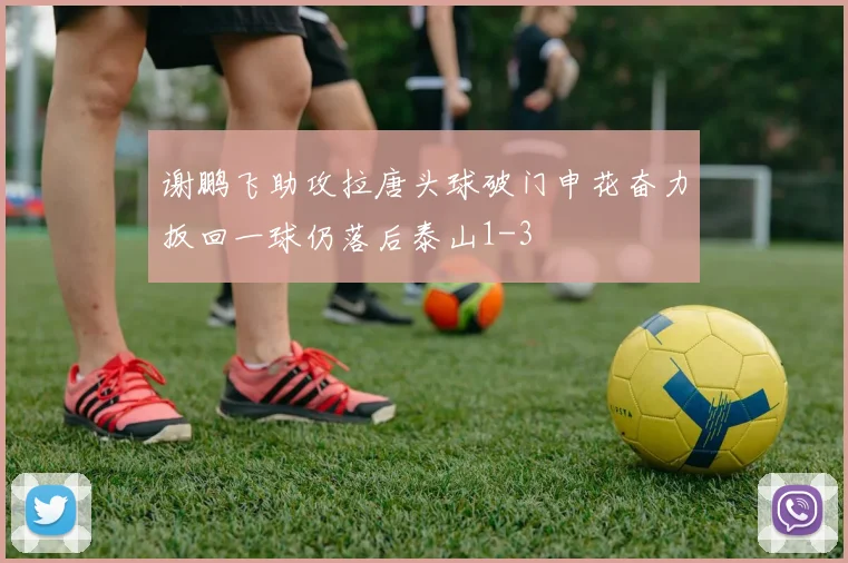 谢鹏飞助攻拉唐头球破门申花奋力扳回一球仍落后泰山1-3
